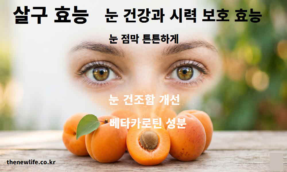 살구 효능 눈 건강 시력 보호