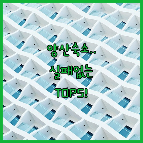 경남 양산 출장 여행 숙소 베스트 5..