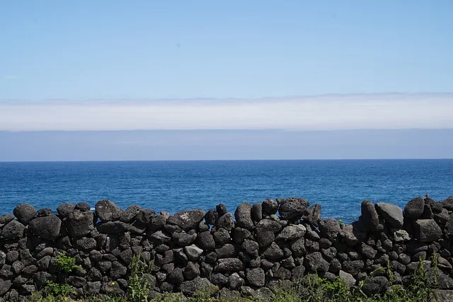 4월 제주도 여행코스 2박 3일 완벽 코스_8