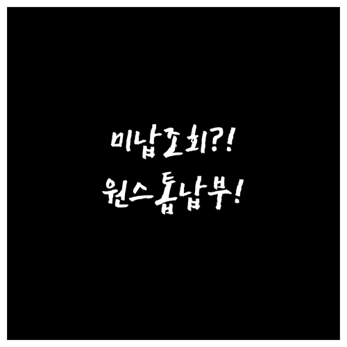 하이패스 미납 통행료 앱 이용 차량번..