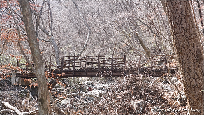 천성산 산하동 야생화