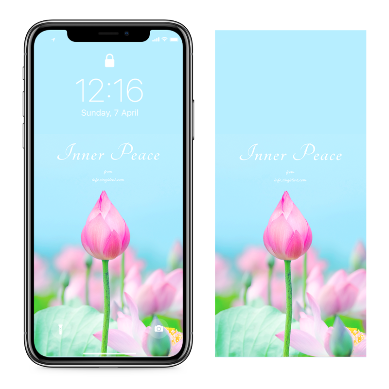 03 연꽃 꽃봉오리 C - Inner Peace 연꽃배경화면