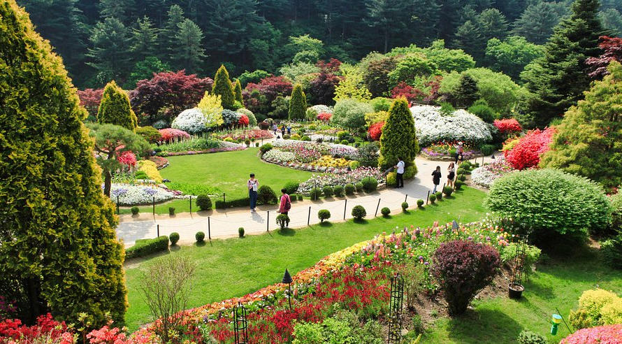 아침고요수목원