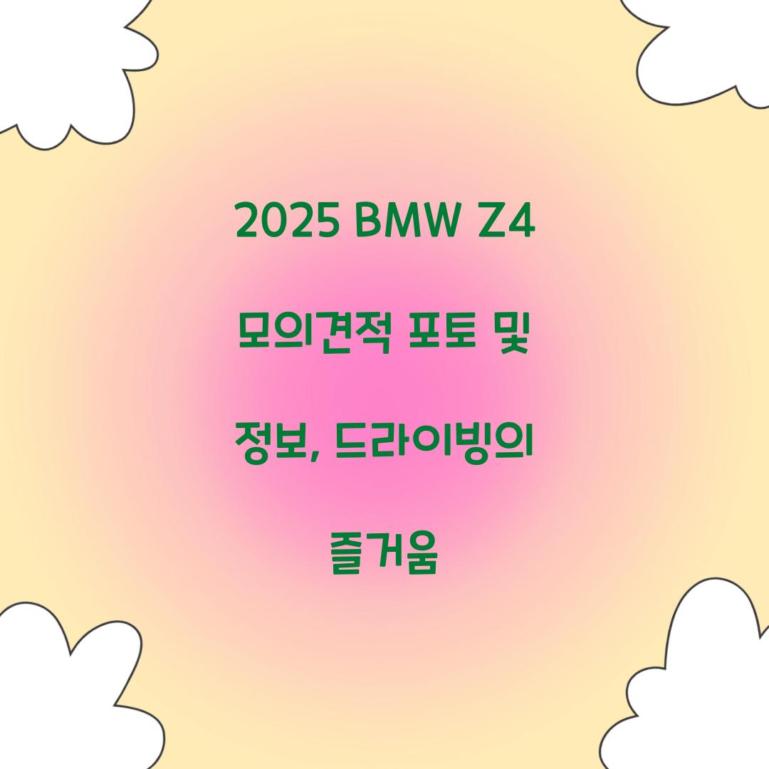 2025 BMW Z4 모의견적