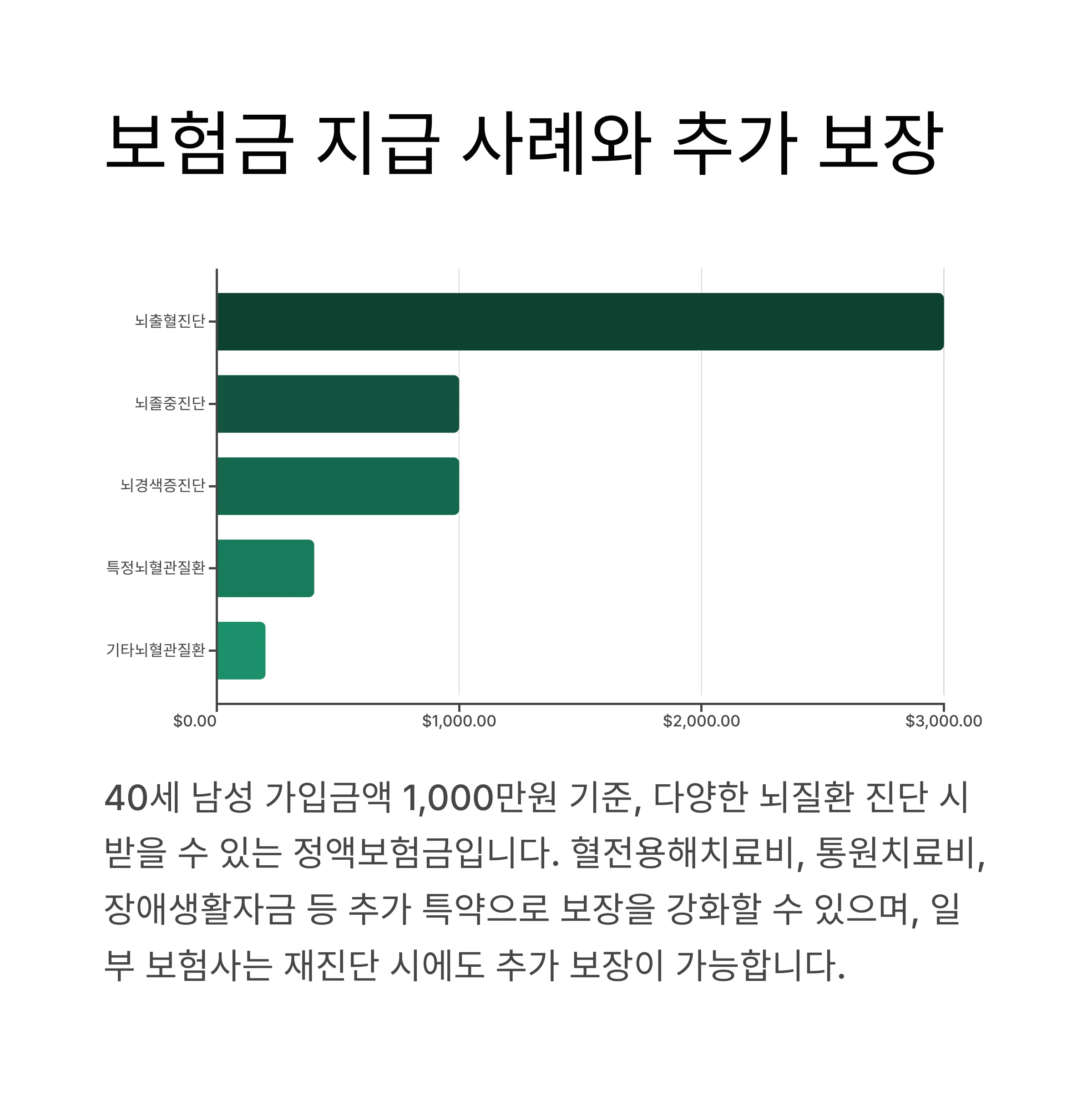 실제 보험금 지급 사례와 추가 보장