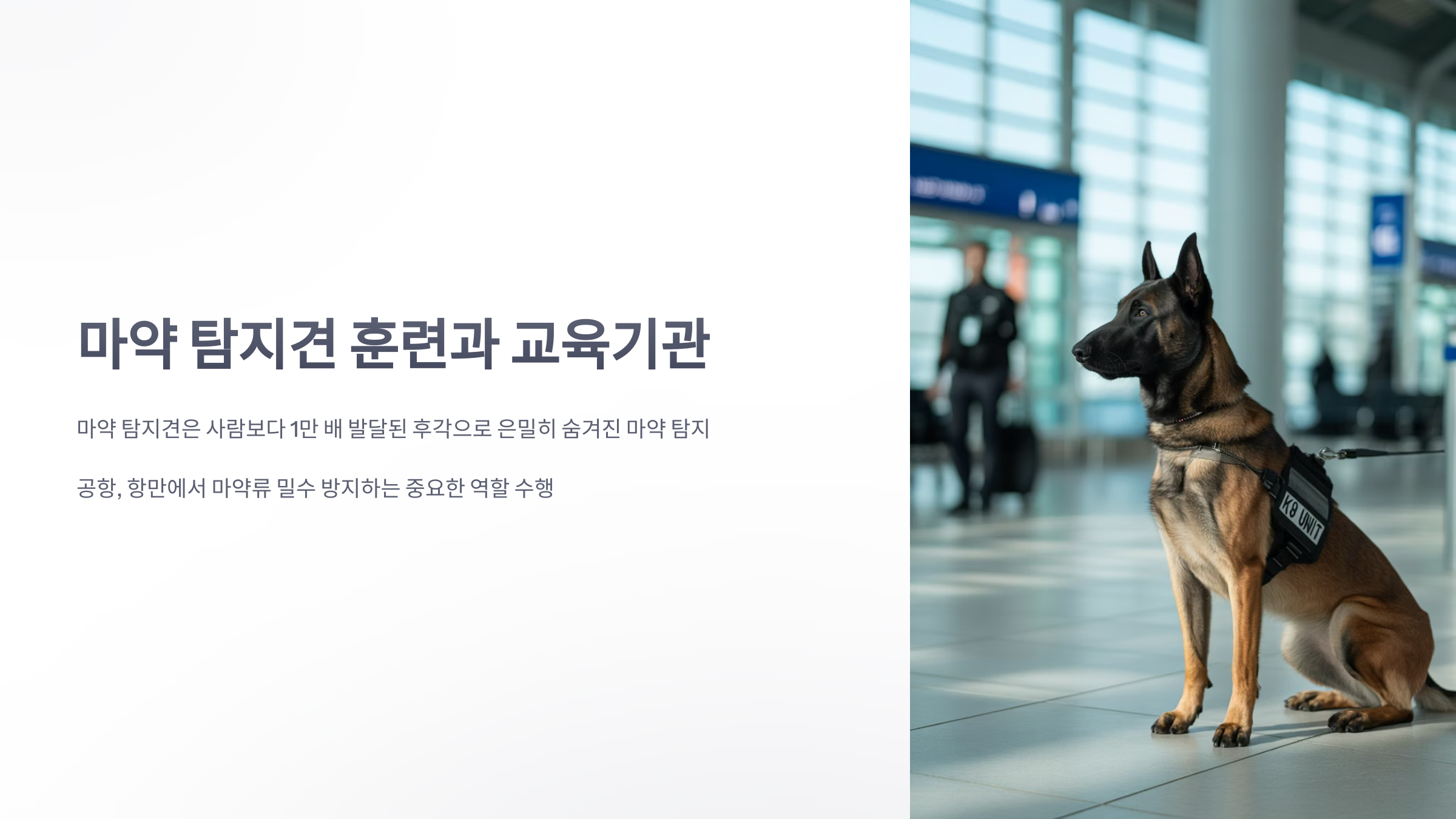 참조-마약-탐지견-1