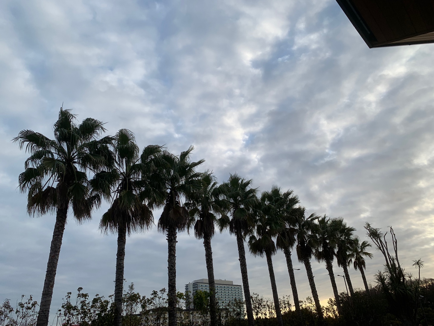 하얏트도쿄베이호텔앞