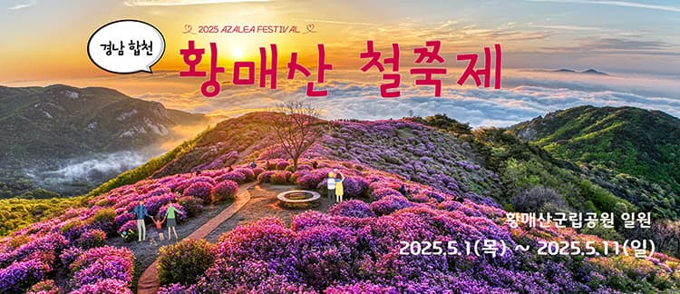 [경남 합천 여행]5월 지역 축제❘황매산 철쭉축제❘기간, 예약, 실시간 개화 현황