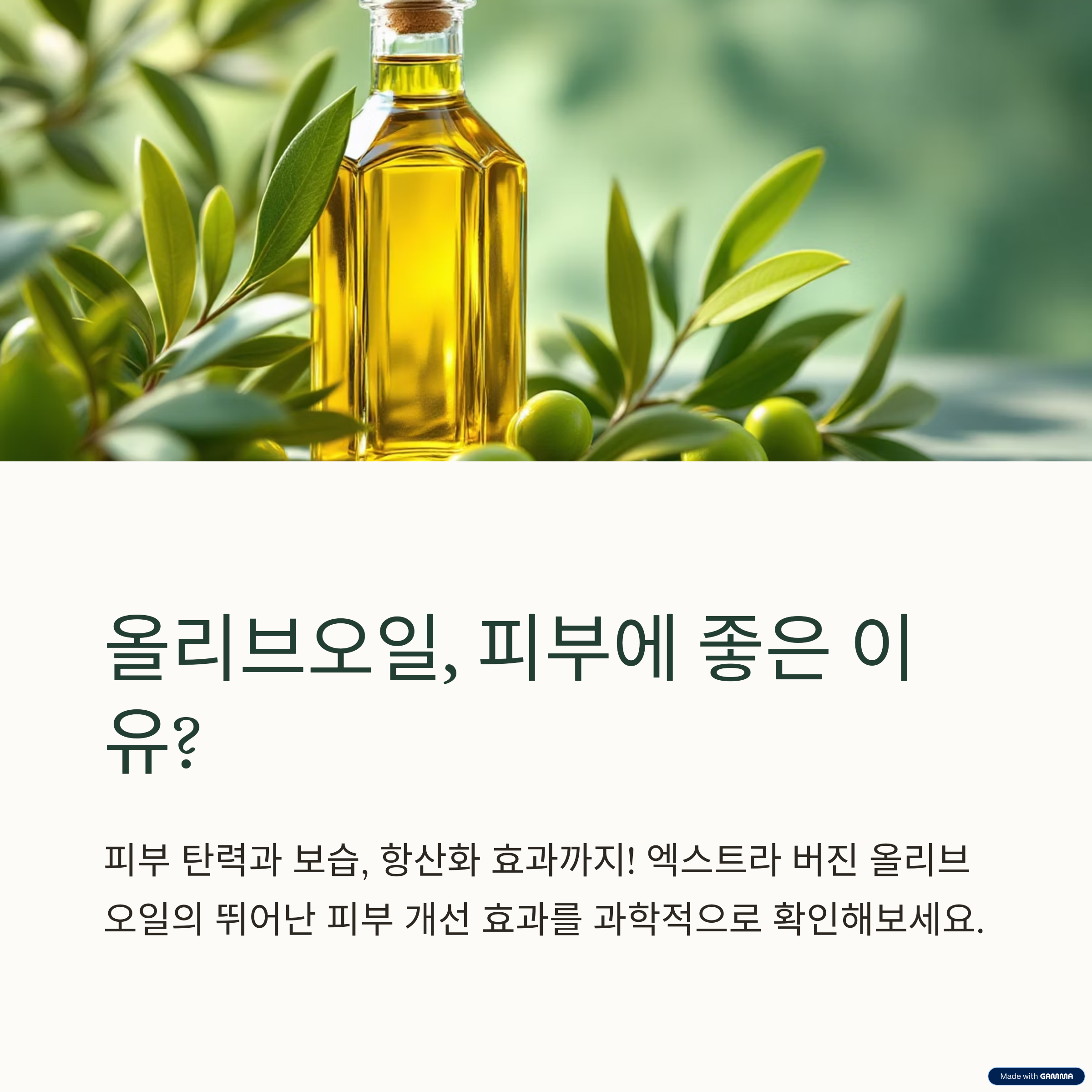 올리브오일,피부에 좋은 이유?