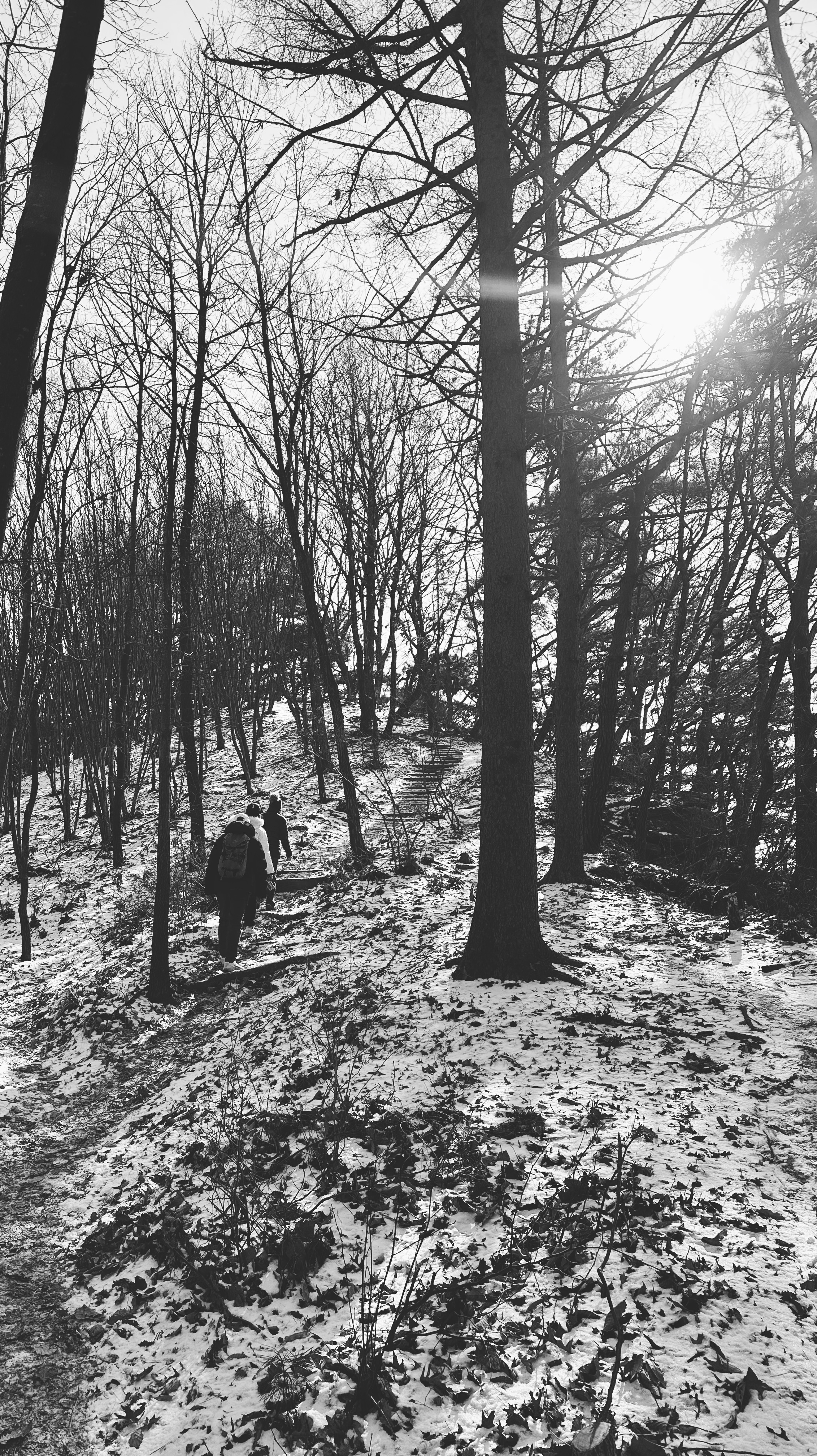 것대산 활강장을 향해