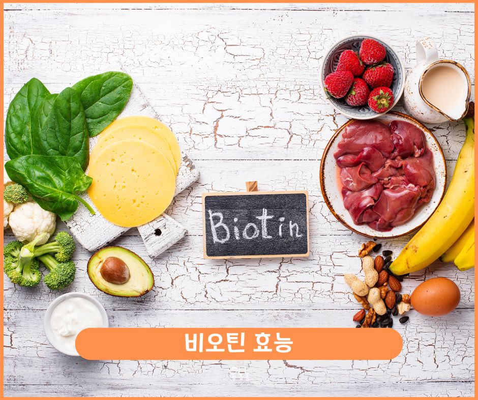 비오틴 효능