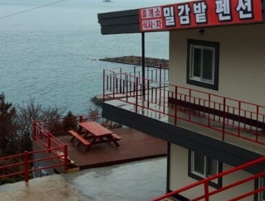 밀감밭 펜션