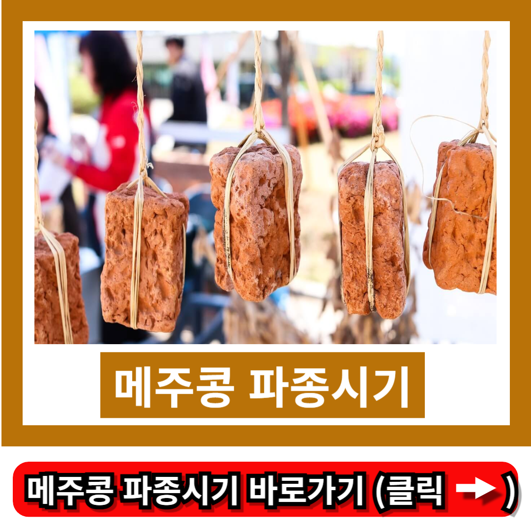 메주콩 파종시기