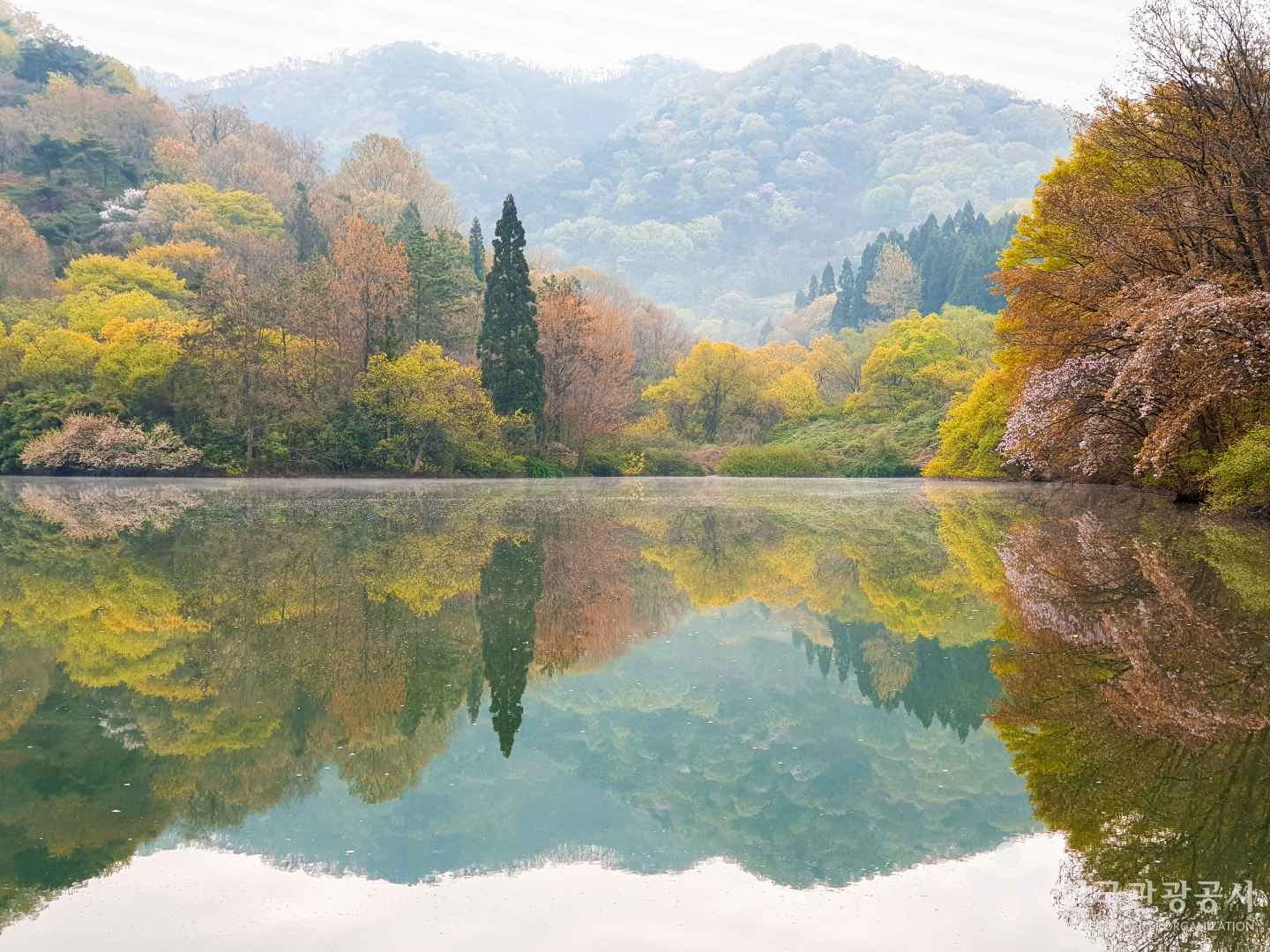 화순 세량지
