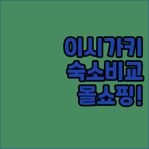 이시가키지마 가족 여행 숙소 5곳 비..