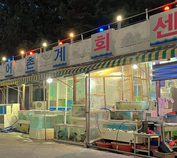 양양서피비치회센터