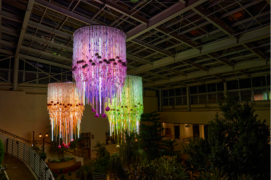 안산 식물원 매화, 카페 정보