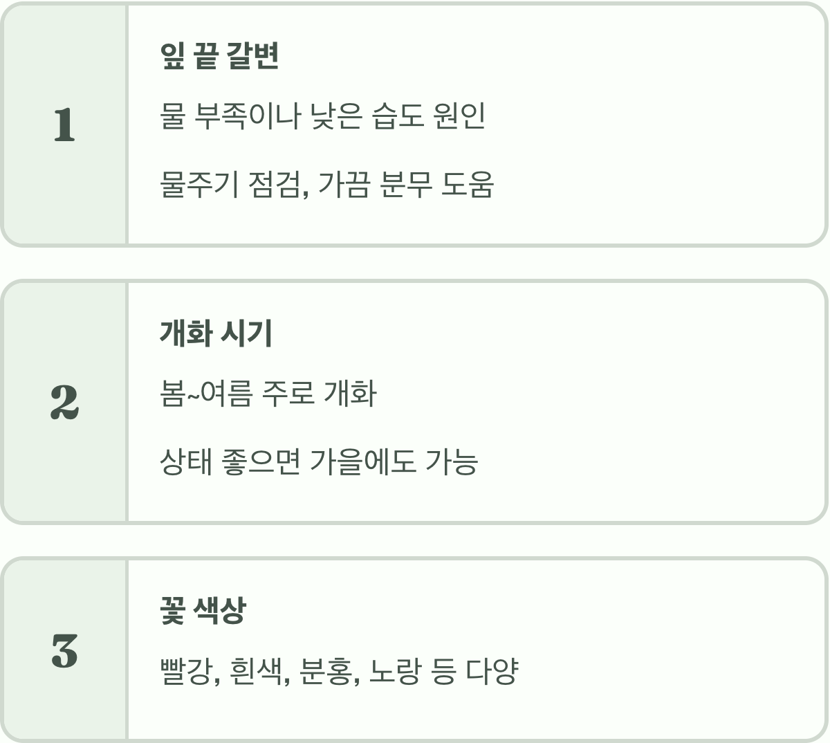 병솔나무 키우기, 이것만 알면 실패 없이 빨간 꽃을 볼 수 있어요!