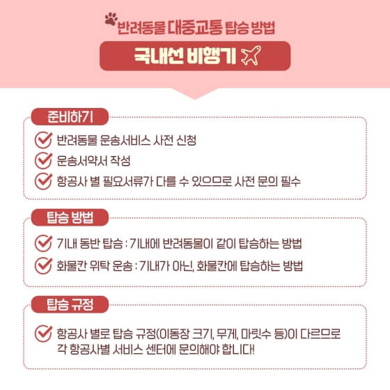반려동물비행기이용