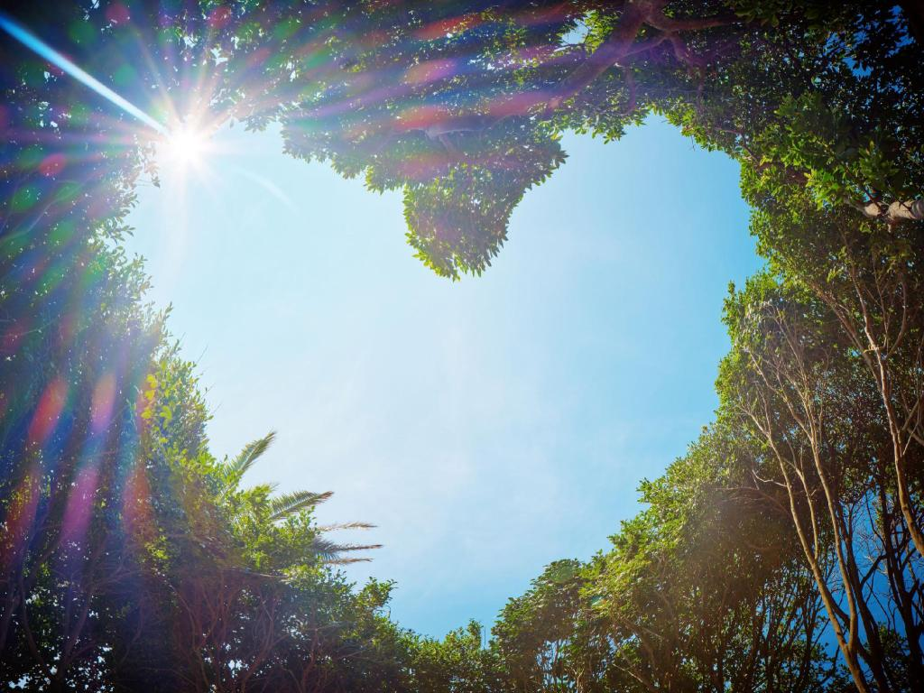 킹더랜드촬영지