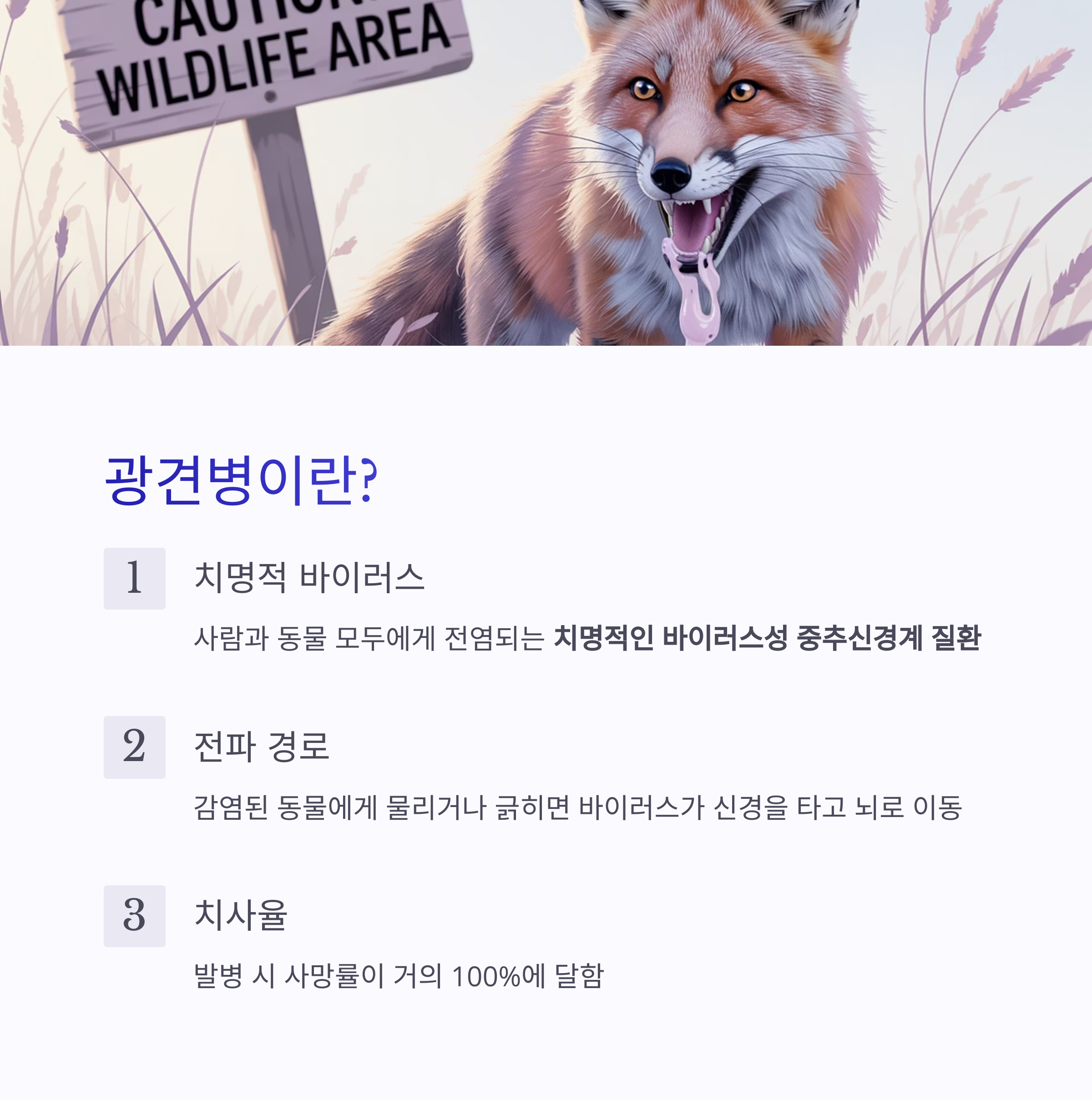 광견병에 대한 설명과 함께 '치명적 바이러스', '전파 경로', '치사율'을 설명하는 내용이 포함된 이미지