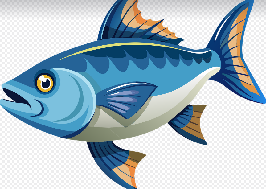 오메가3, 염증 줄이고 뇌를 깨우는 건강한 지방