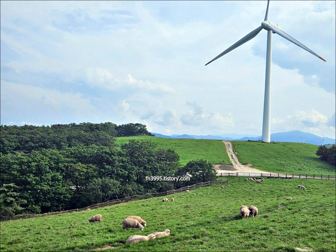 대관령 삼양목장