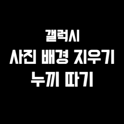 갤럭시 사진배경지우기 누끼따기