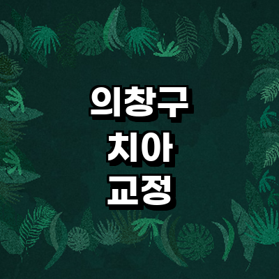 창원 의창구 교정 치과