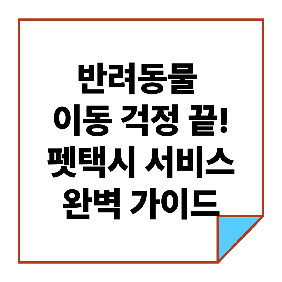 반려동물 이동 걱정 끝! 펫택시 서비스 완벽 가이드