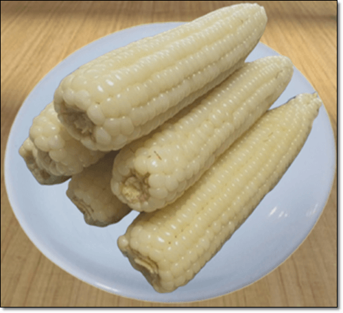 초당 옥수수