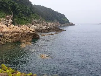 대천 호도 배편 배시간표 예매 요금 예약_23