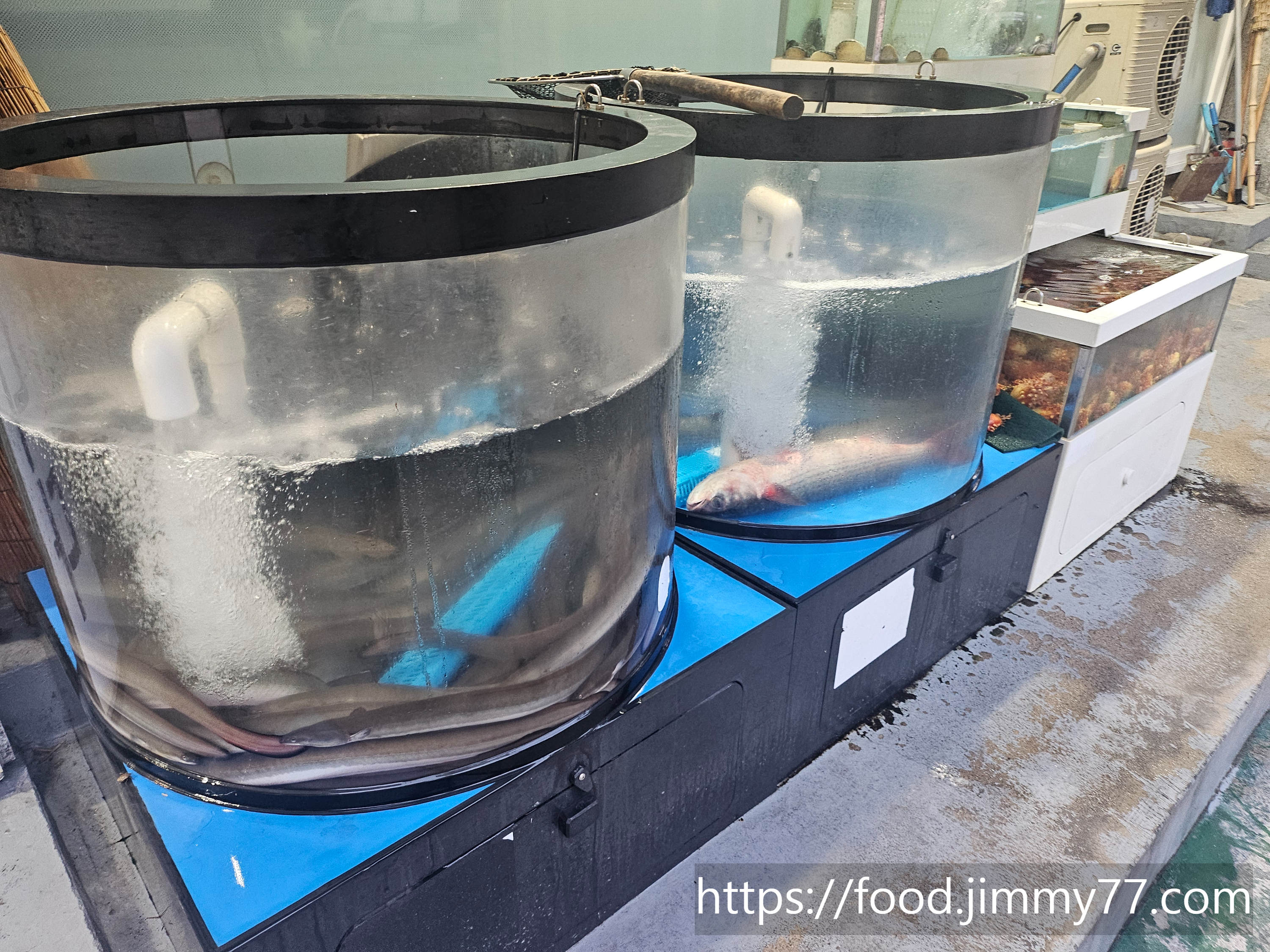 오늘의 장어 원당점