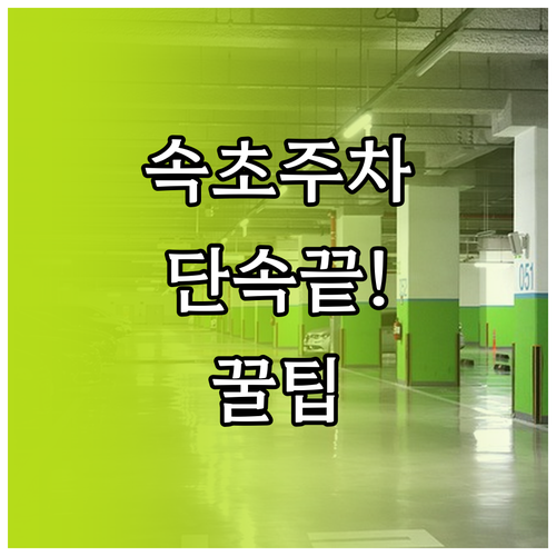 속초 여행 필수 주정차 단속 문자 알..