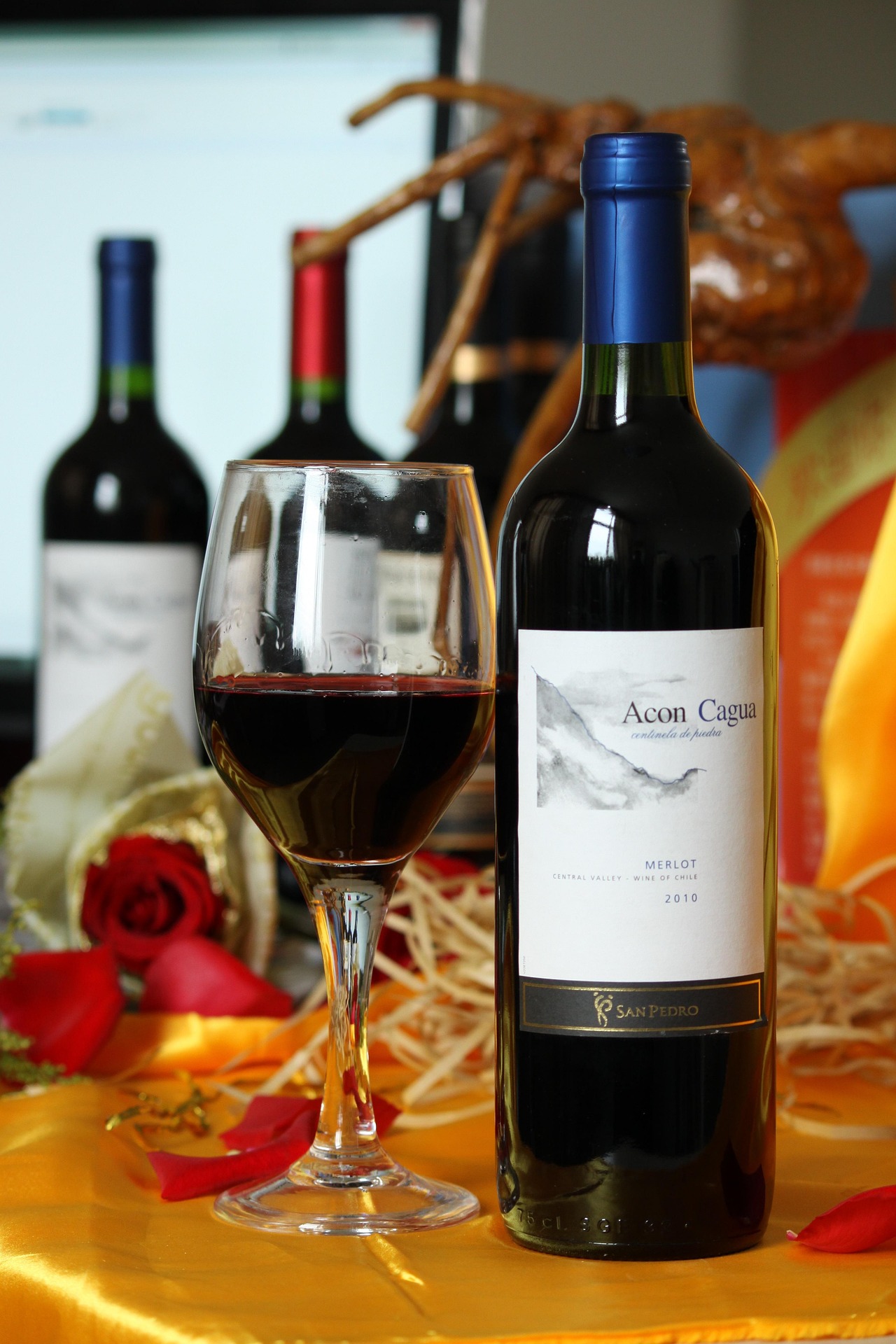 와인 라벨만 보고도 구대륙 와인과 신대륙 와인을 구분하는 방법