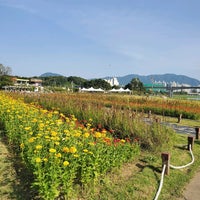 남양주 가볼만한곳 - 남양주한강변시민공원