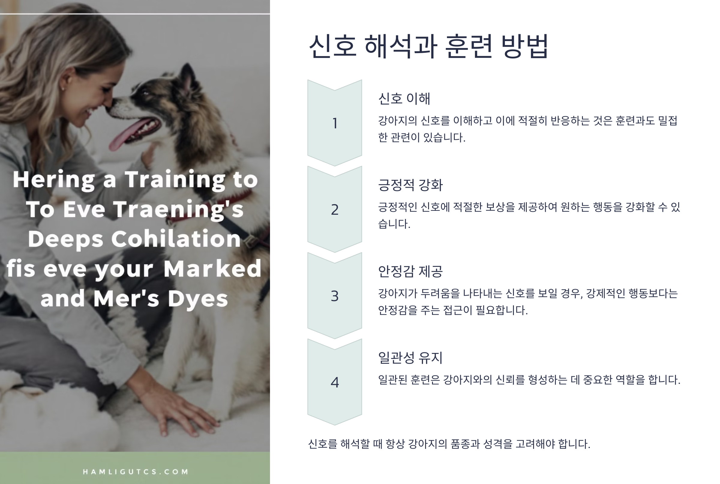 신호 해석과 훈련 방법