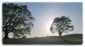 수릉원 테마공원