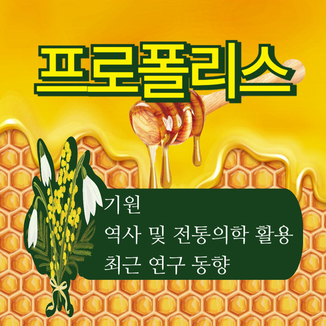 프로폴리스 기원