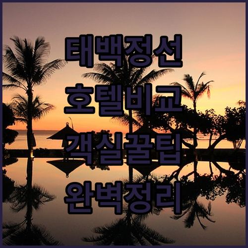 태백 정선 여행을 위한 권역별 호텔 ..