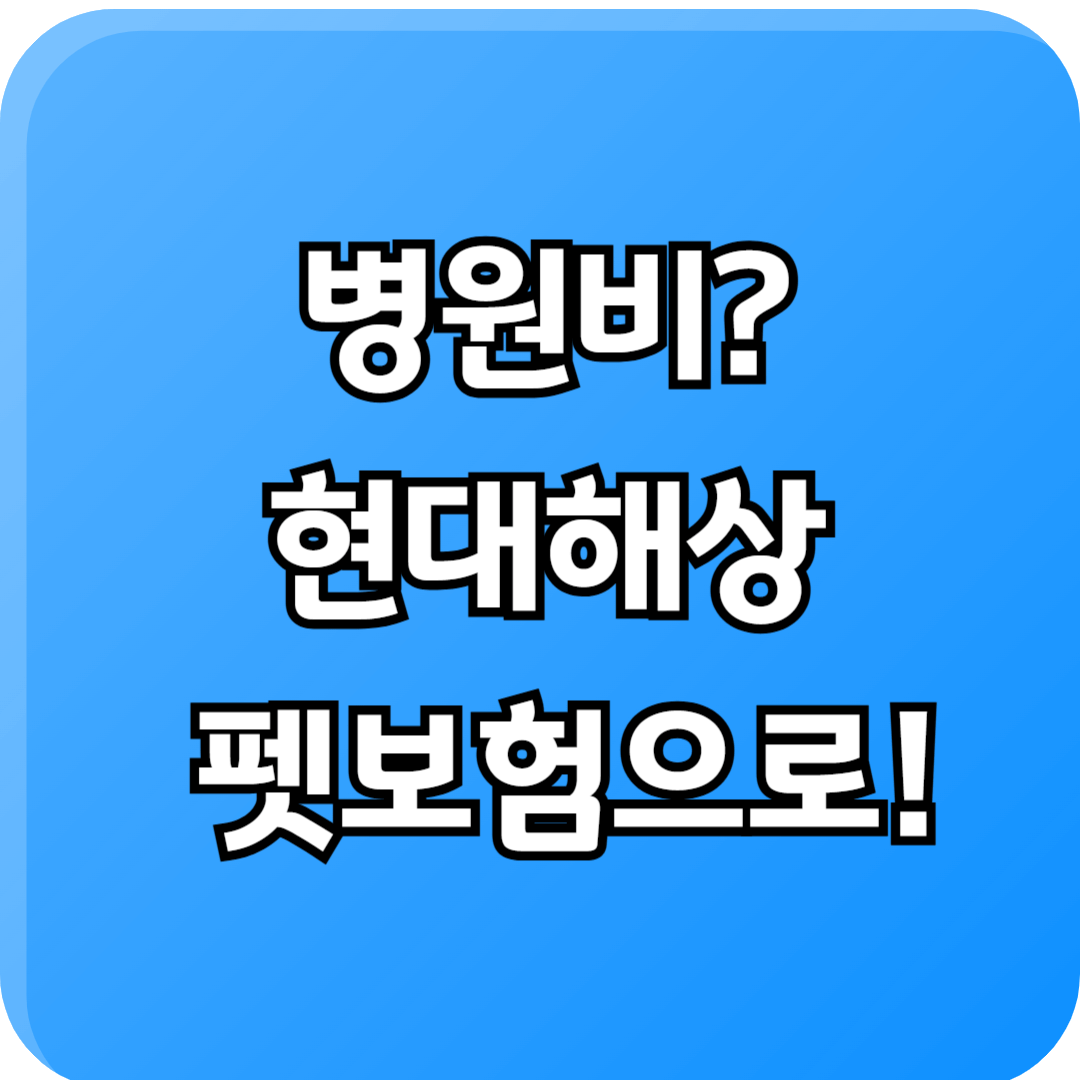 현대해상 펫보험