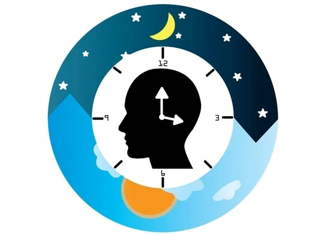 수면 리듬 규칙적으로 만드는 방법