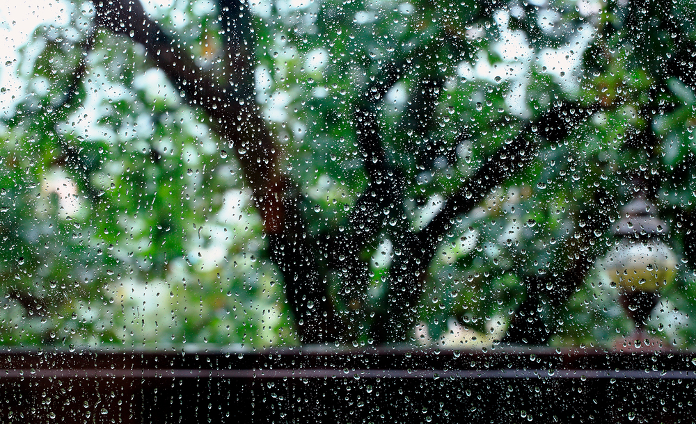 2023-장마철-기간