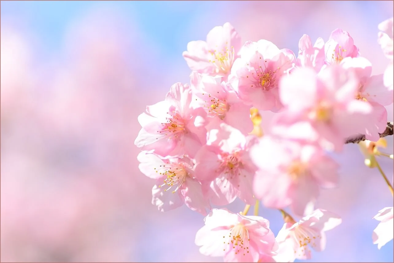 우리은행 예금금리