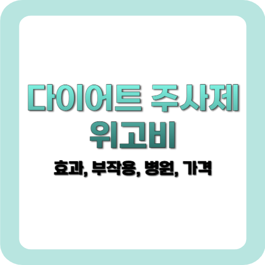 다이어트 주사 위고비