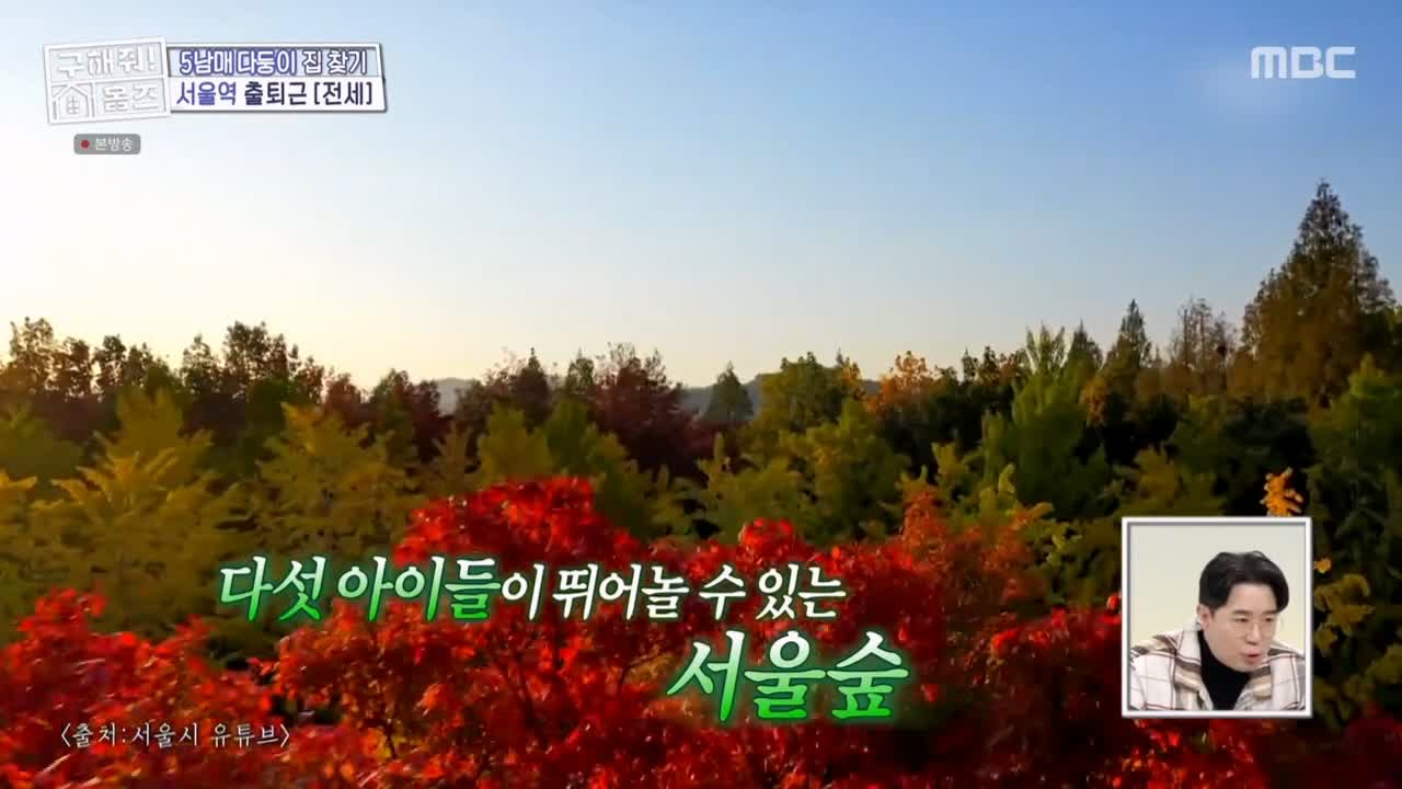 구해줘홈즈 성동구 성수동 1층집 다둥이들 매물 가격 및 구조 인테리어 리모델링 최종선택 소개 다시보기