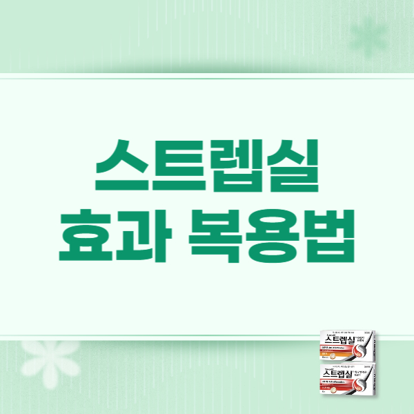 스트렙실 효과 성분 종류 복용법 가격