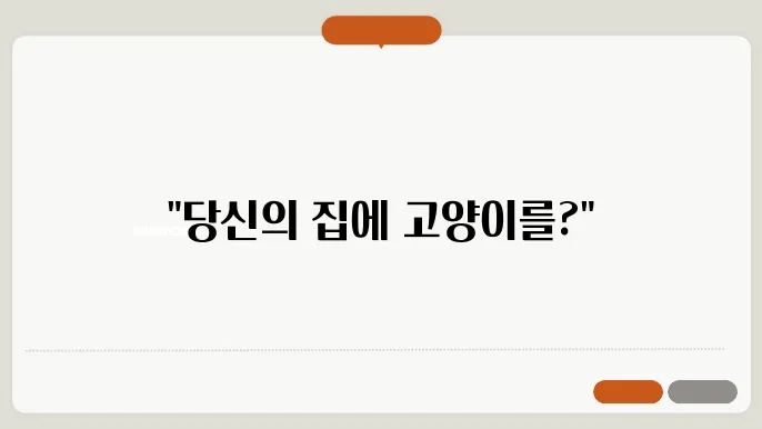 고양이의 건강 상태 점검