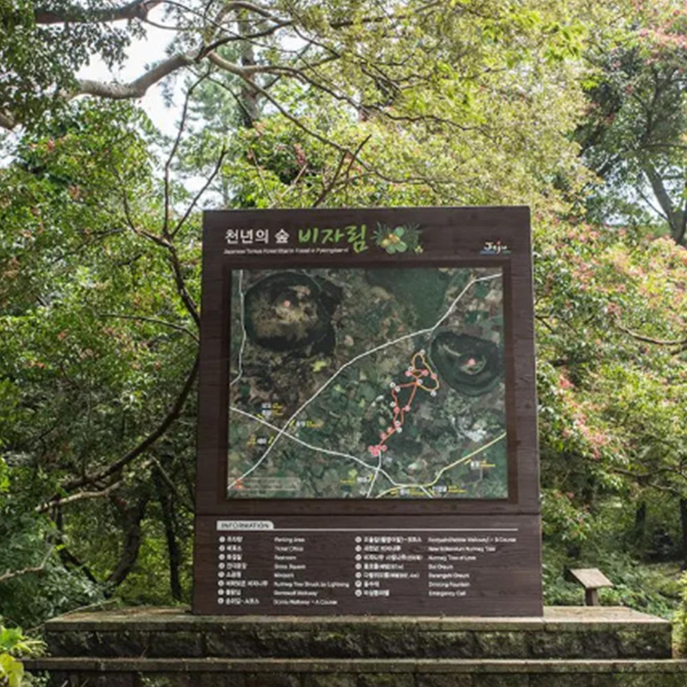 비자림