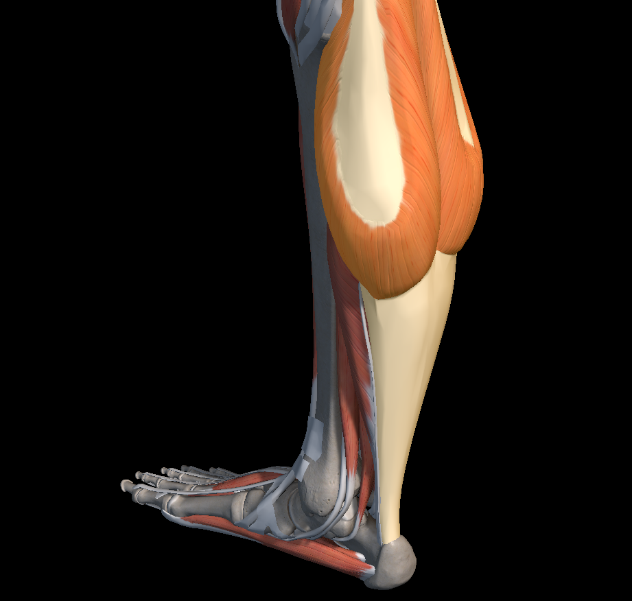 발목 안쪽 통증 치료법